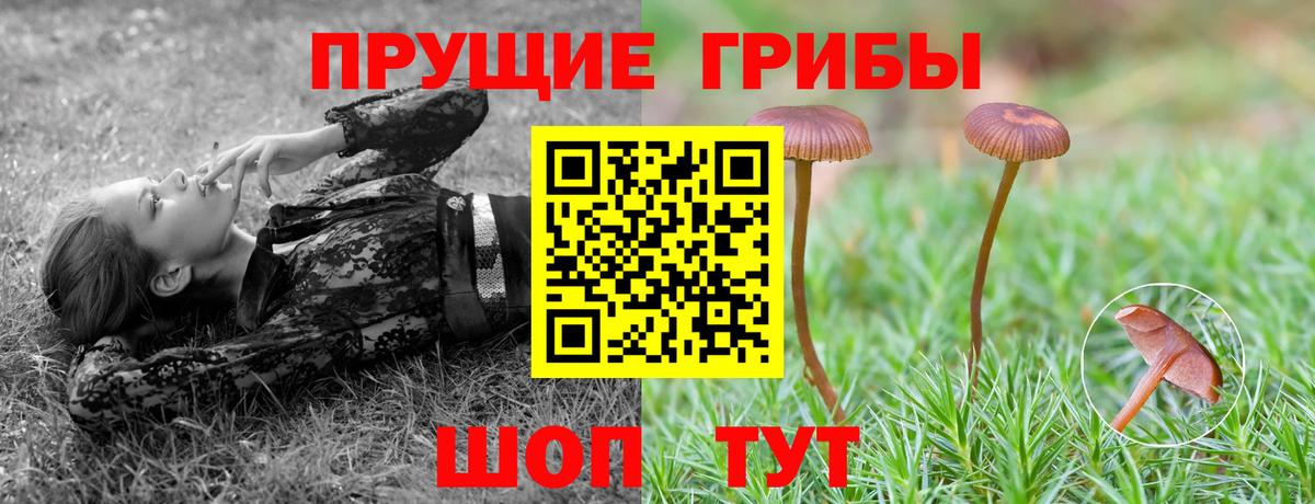Южноуральск  дарнет шоп  Галлюциногенные грибы ЛСД  Вход с VPN  Галлюциногенные грибы прущие грибы 